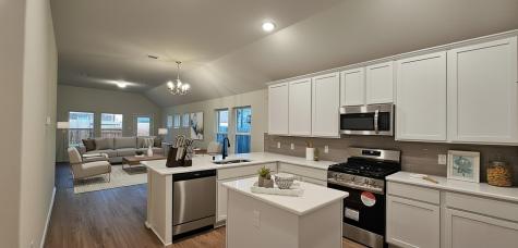 21258 Catalina Palm Drive Cypress TX 77433