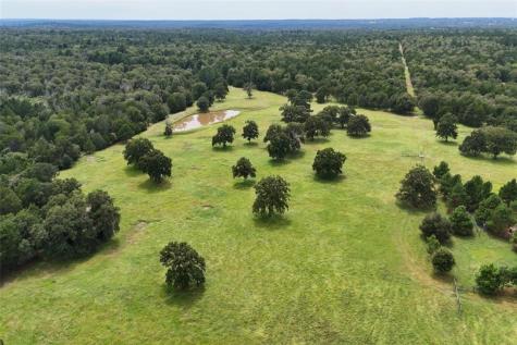 705 Antioch Road Paige TX 78659
