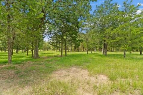 705 Antioch Road Paige TX 78659