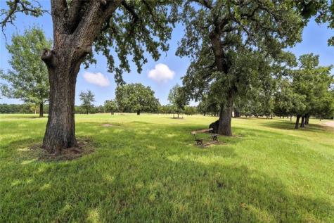705 Antioch Road Paige TX 78659