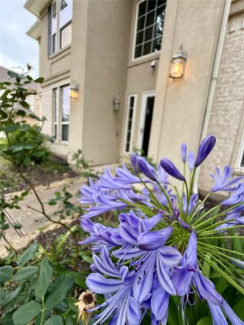 12501 Pepper Creek Lane Pearland TX 77584