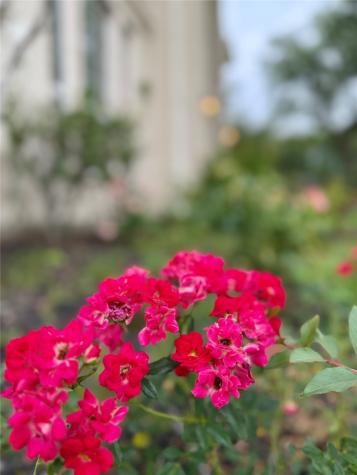 12501 Pepper Creek Lane Pearland TX 77584