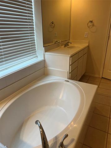 15319 Truslow Point Lane Sugar Land TX 77478