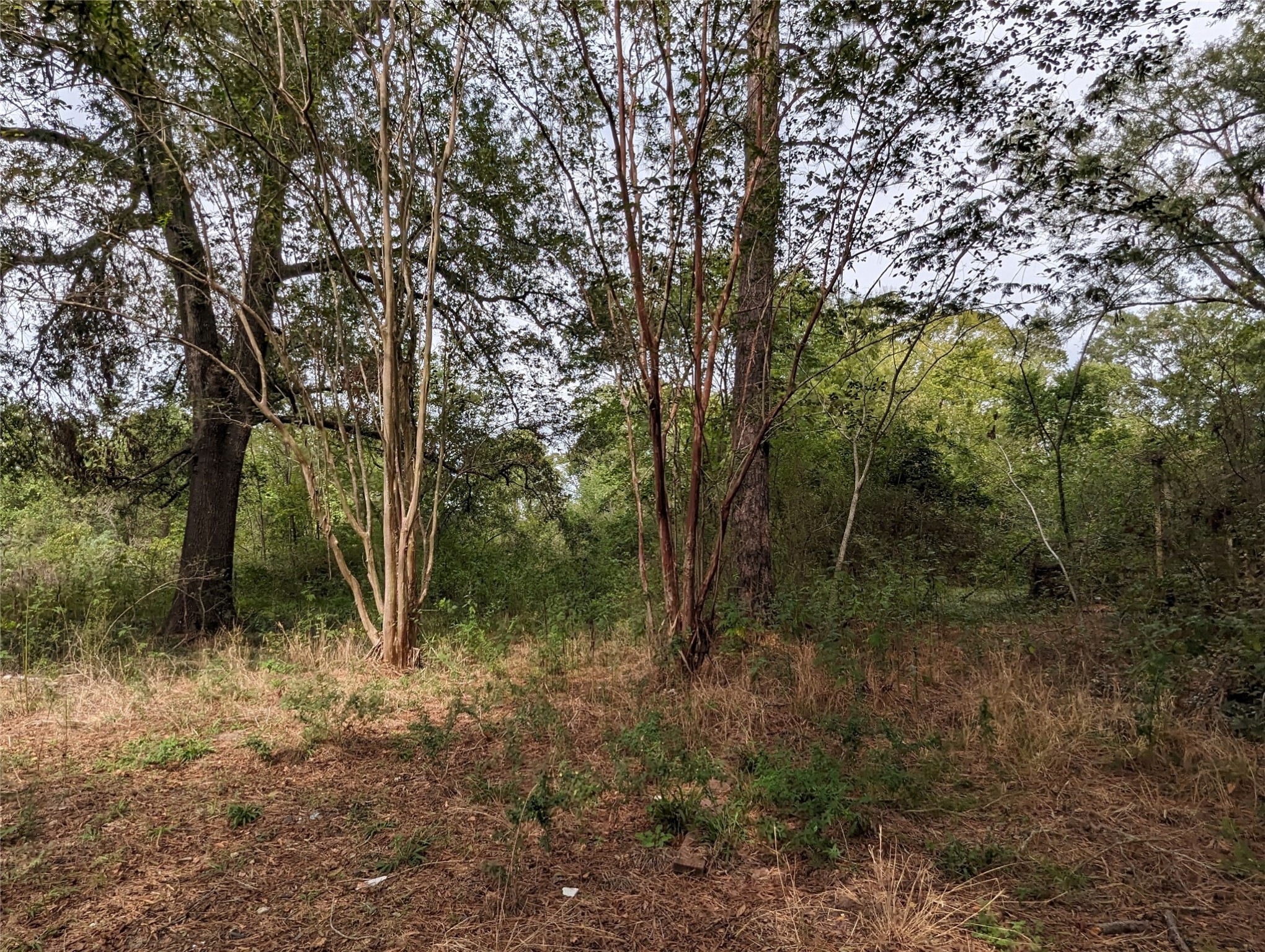 146 Raymond Road Livingston TX 77351