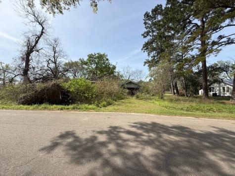 411 Sherwood Street E Cleveland TX 77327