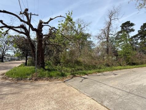 411 Sherwood Street E Cleveland TX 77327