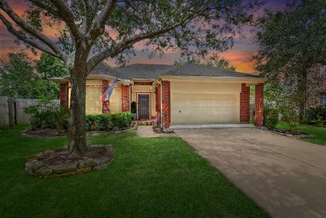 1107 Cambrian Park Court Sugar Land TX 77479