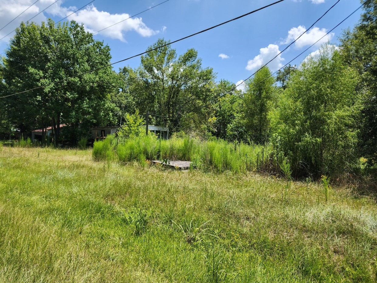 275 County Road 388 Cleveland TX 77328