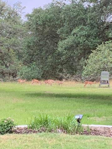 2003 Oakridge Road Weimar TX 78962