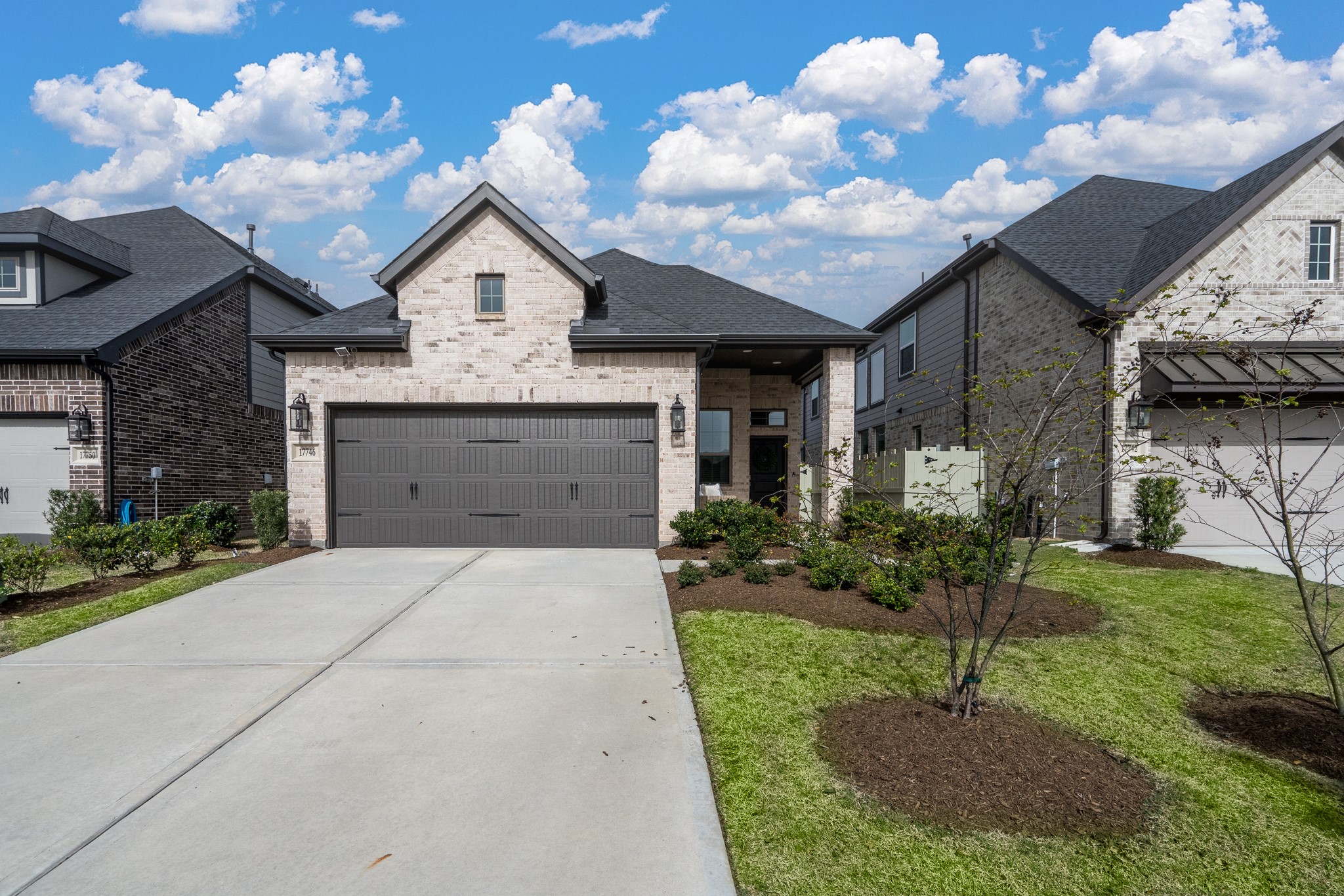 17746 Tree Of Heaven Conroe TX 77385