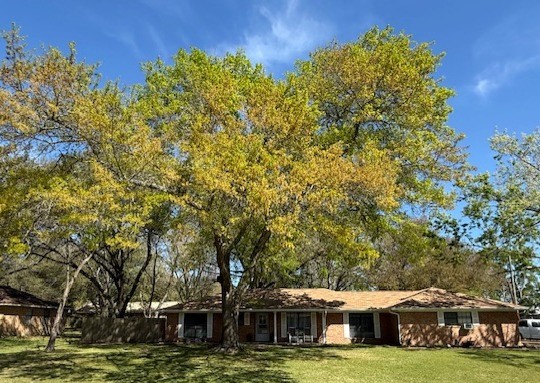 451 Pennington Street Lovelady TX 75851