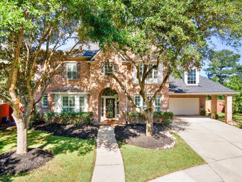 12155 Cielio Bay Lane Houston TX 77041