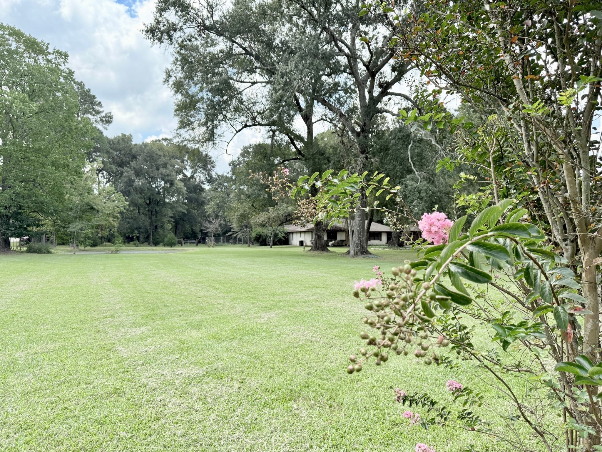 26422 Hardin Store Road Magnolia TX 77354