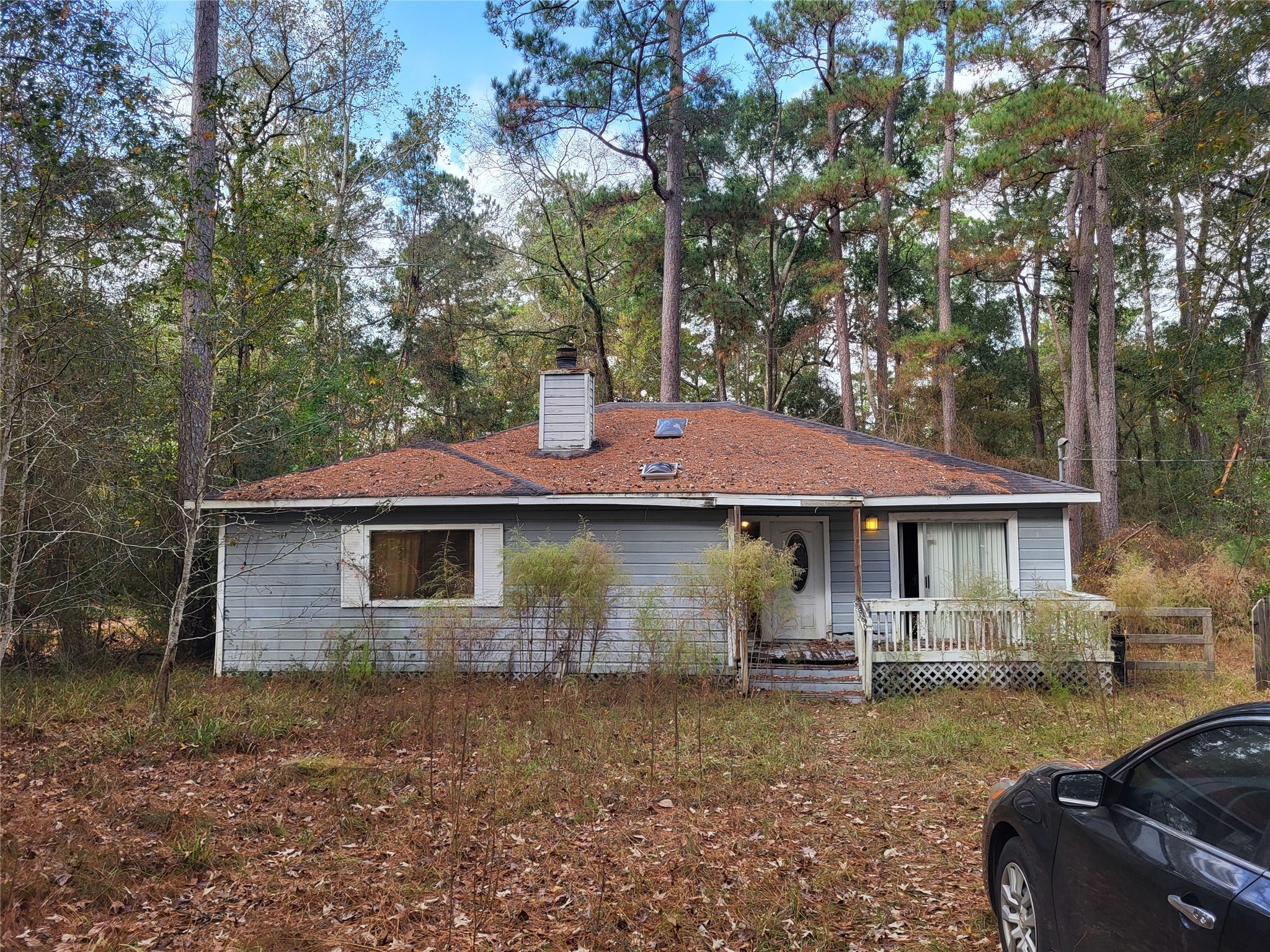 25319 Penguin Street Magnolia TX 77355