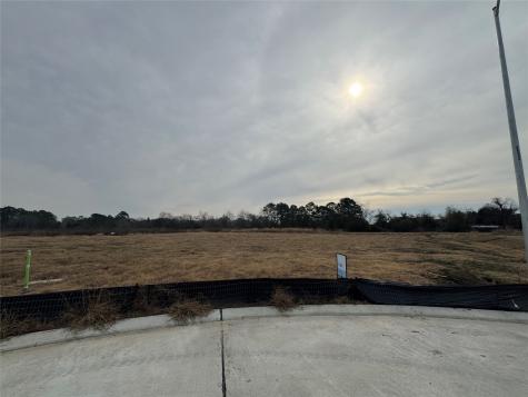 12122 Autumn Leaf Drive Mont Belvieu TX 77535