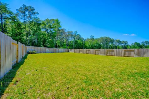 24019 Willow Rose Drive Spring TX 77389