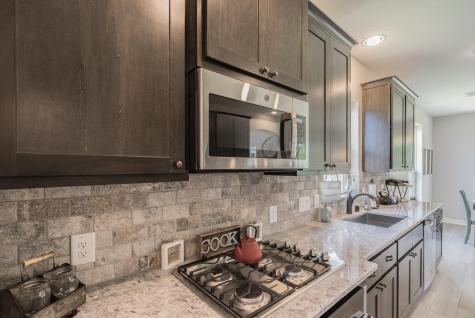 24019 Willow Rose Drive Spring TX 77389