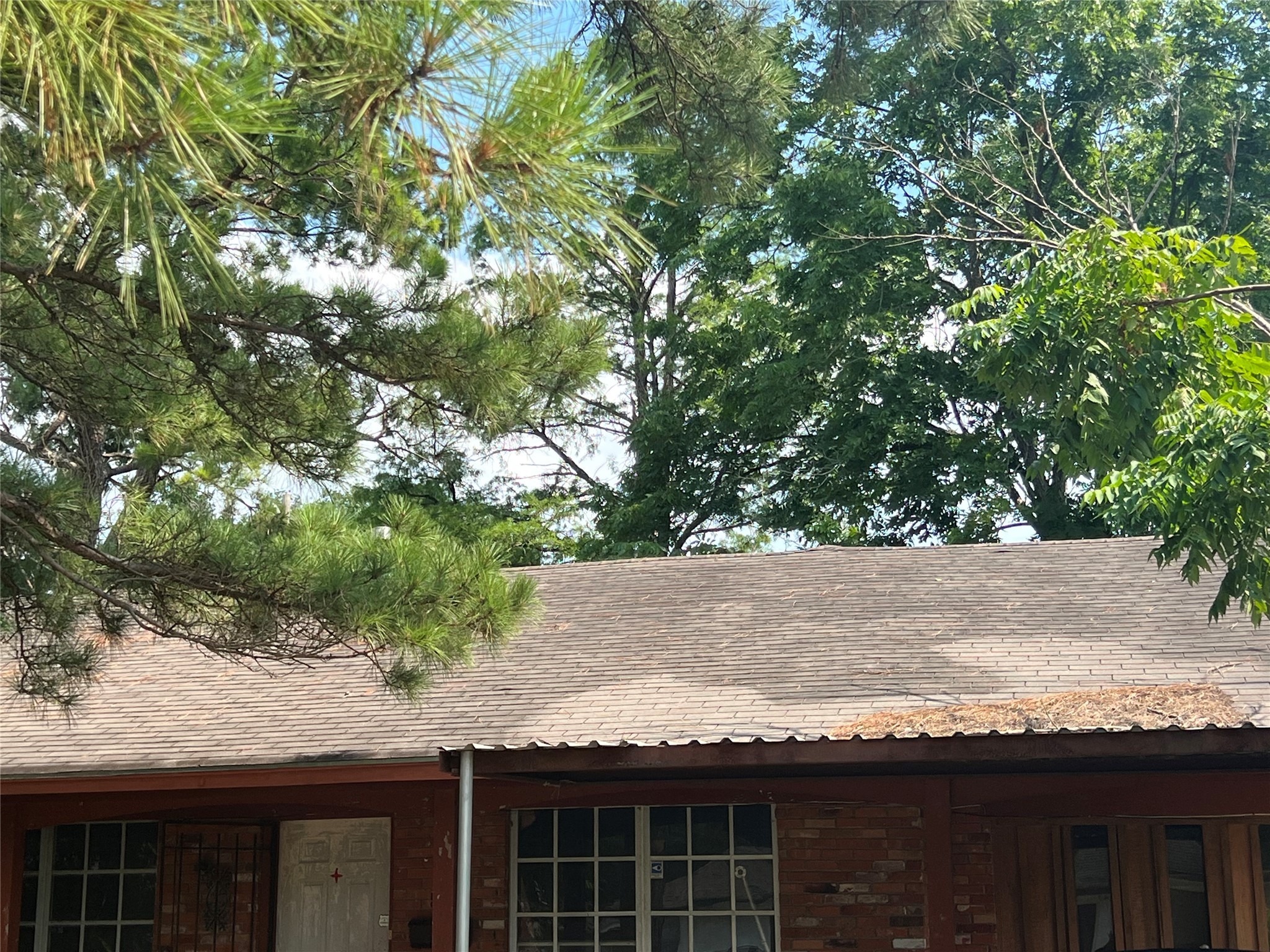 5846 Flamingo Drive Houston TX 77033