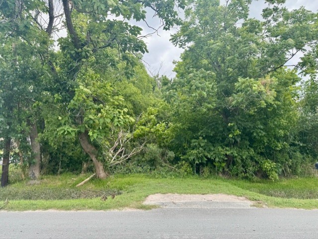 2201 Sandydale Lane Houston TX 77039