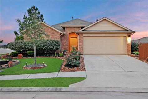 18308 Porters Mill Court New Caney TX 77357