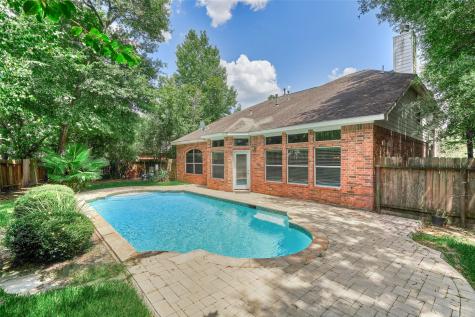 7 Raindance Court The Woodlands TX 77385
