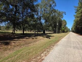 441 Wonderland Drive Shepherd TX 77371