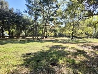 441 Wonderland Drive Shepherd TX 77371