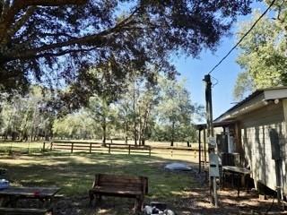 441 Wonderland Drive Shepherd TX 77371