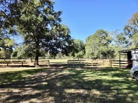 441 Wonderland Drive Shepherd TX 77371