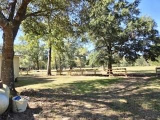 441 Wonderland Drive Shepherd TX 77371