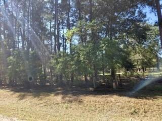 441 Wonderland Drive Shepherd TX 77371