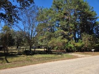 441 Wonderland Drive Shepherd TX 77371