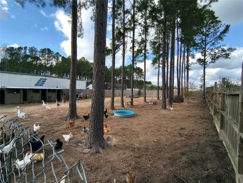 2363 County Road 3548 Cleveland TX 77327