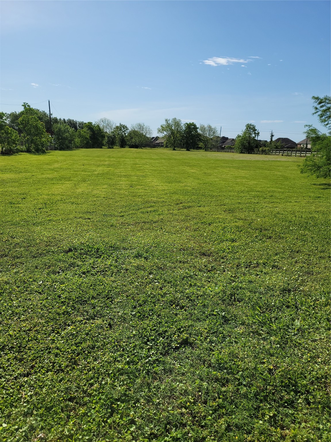 505 W Viejo Drive Friendswood TX 77546