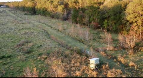 25202 Highway 105 Sour Lake TX 77659