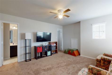 3231 Owl Hollow Drive Rosenberg TX 77471