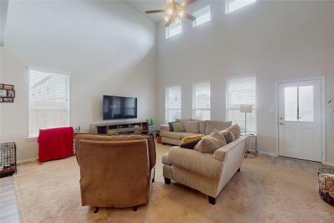 3231 Owl Hollow Drive Rosenberg TX 77471