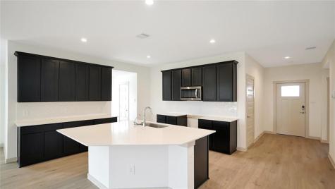 29907 Violet Sky Way Katy TX 77494