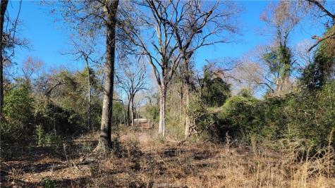 Lot 23 High Meadow Trail Franklin TX 77856