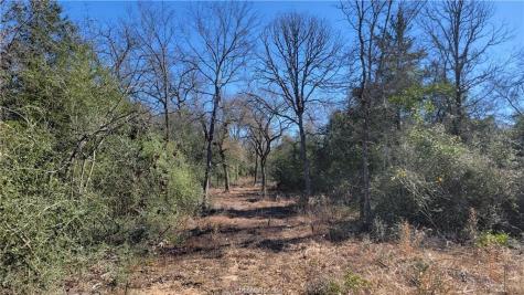 Lot 23 High Meadow Trail Franklin TX 77856