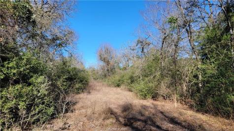 Lot 23 High Meadow Trail Franklin TX 77856