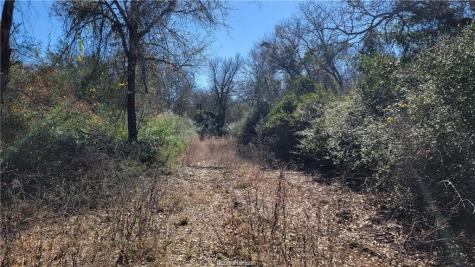 Lot 23 High Meadow Trail Franklin TX 77856