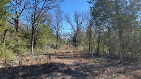 Lot 23 High Meadow Trail Franklin TX 77856