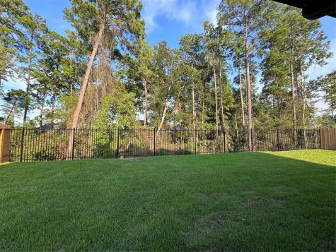 14118 Savage River Court Conroe TX 77384