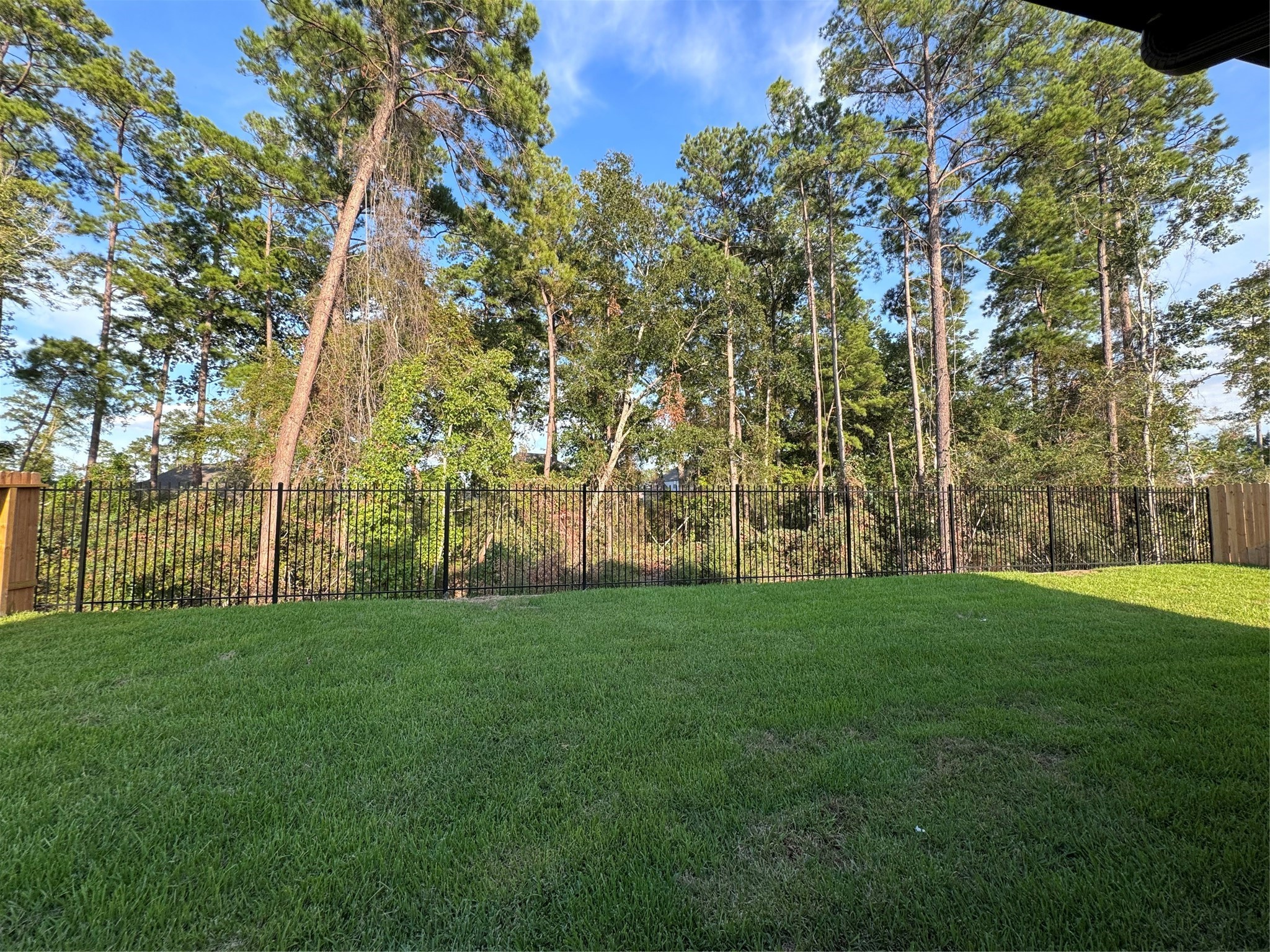 14118 Savage River Court Conroe TX 77384