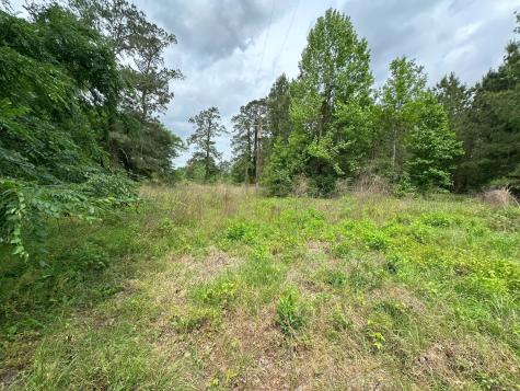 5782 E Us Highway 287 Woodlake TX 75865