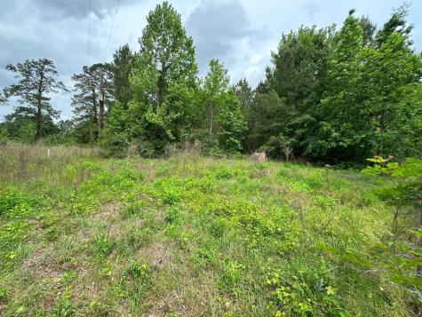 5782 E Us Highway 287 Woodlake TX 75865