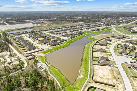 22543 Pagoda Dogwood Branch Drive New Caney TX 77357