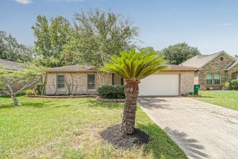 5 Lobo Court Angleton TX 77515