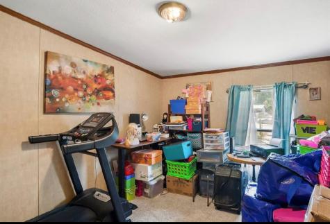 16319 Birch Hollow Drive Conroe TX 77303